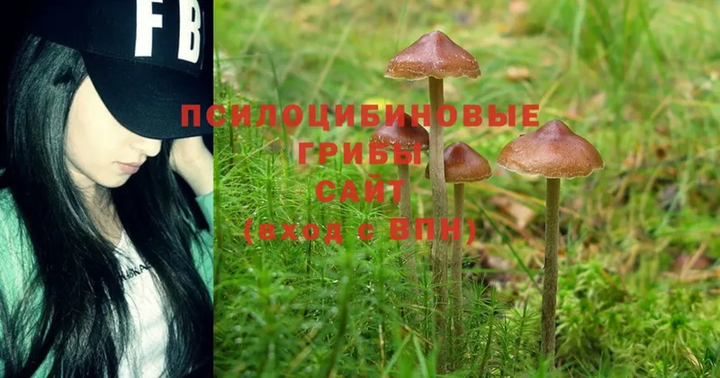 где можно купить наркотик  Санкт-Петербург  Псилоцибиновые грибы MAGIC MUSHROOMS 